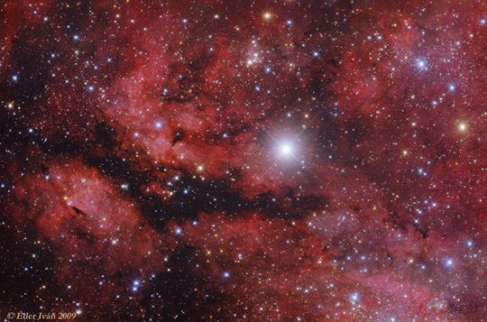 A gamma Cygni körüli ködök részlete: az IC 1318, a Pillangó-köd (Éder Iván fotója)