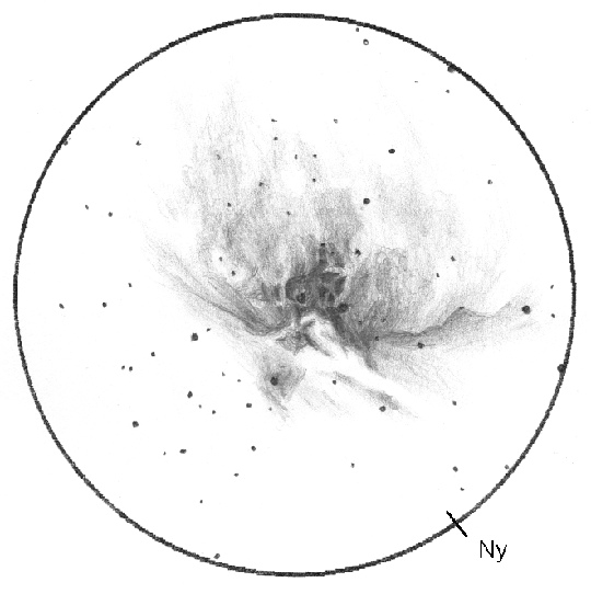 Az Orion-köd (M42-43) Wolf Sándor rajzán. Munkája az archívumban található egyik legjobb rajz az égitestről: „Minden nagyításnál rengeteg részlet látszódik. A külső területek 60, míg a belsők 185x-ös nagyítással mutatják a legtöbb részletet.” A rajz elkészítéséhez Sándor egy 203/1200-as Newton-reflektort használt 60x-os nagyítással. Az észlelés dátuma 2004. 12. 18/19, a rajz 1 óra 50 perces munka eredménye. A látómező mérete 45 ívperc.