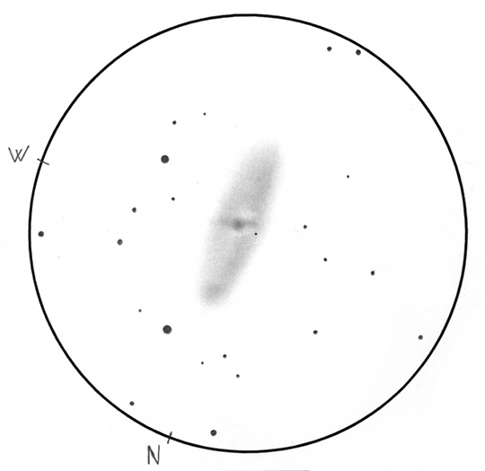 A látszó Világegyetem egyik legnagyobb átmérőjű és fénykibocsátású spirálgalaxisa, az NGC 2336 a Camelopardalisban. Tóth Zoltán rajza 50 cm-es Dobsonnal, 273x-os nagyítással, 16’-es Lm-ben mutatja a galaxis belső részét