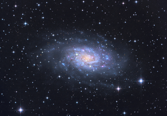 A z NGC 2403 GX Cam Szitkay Gábor felvételén