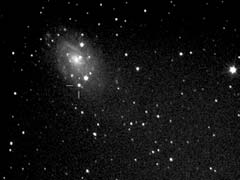 3. ábra. Az SN 2004dj jelű szupernóva (Tordai Tamás CCD-felvétele, Polaris, 2004.09.29., 150/750-es Newton-reflektor, Meade Pictor 416 XT kamera, 6×1 perc)