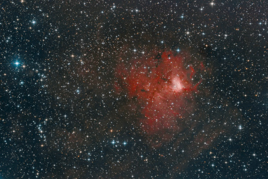 Az NGC 1491 DF Per, Németh Róbert felvételén (25T, 8,1 óra expozíciós idő ISO800-on)