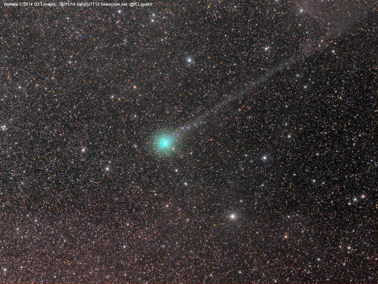 A C/2014 Q2 (Lovejoy)-üstökös Rolando Ligustri távészleléssel készült felvételén (11. 26.). A kométának másfél fokos ioncsóvája látható, összfényessége ekkor 8 magnitúdó volt.