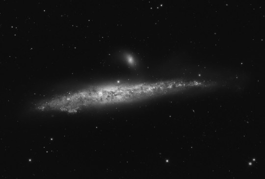 Az NGC 4631 a Mt. Lemmon Obszervatórium 60 cm-es Ritchey-Chrétien távcsövével (Adam Block felvétele).