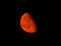 A kelő Hold Szegedről (Csák Balázs felvétele, 2006. 09. 12., 21:26 NYISZ, Panasonic DMC-FZ15, f/2.8, 1/4 sec, f=72 mm (420 mm ekvivalens), ISO 64)