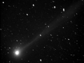 Az üstökös október 26-án (Hegyhátsál, Scutum Obszervatórium, 2006.10.26. 17:40 UT, Takahashi FS-102 f/6,3 + FLI CM2-1 CCD, 5x90 s.)