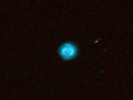 18_NGC7662_051208_20L_RGB2_STI